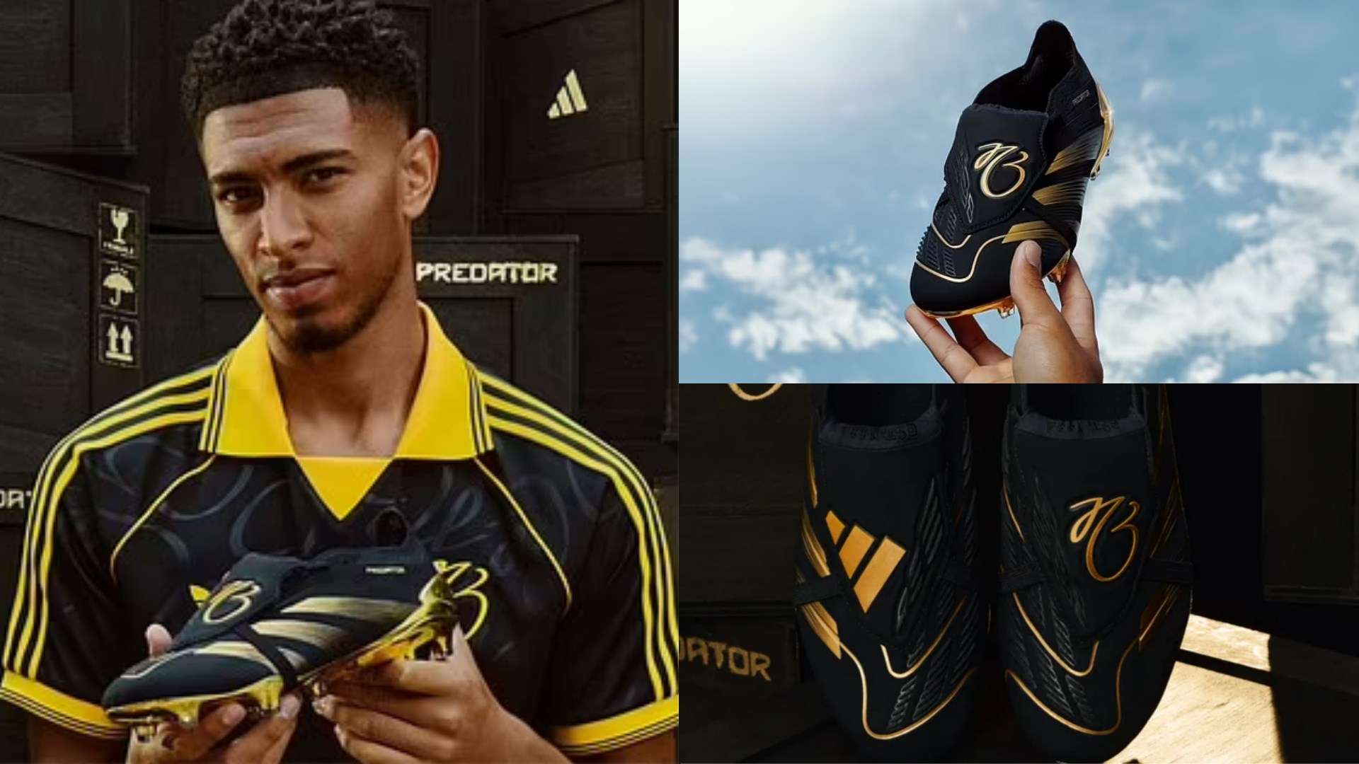 这为裁判员 这为裁判员